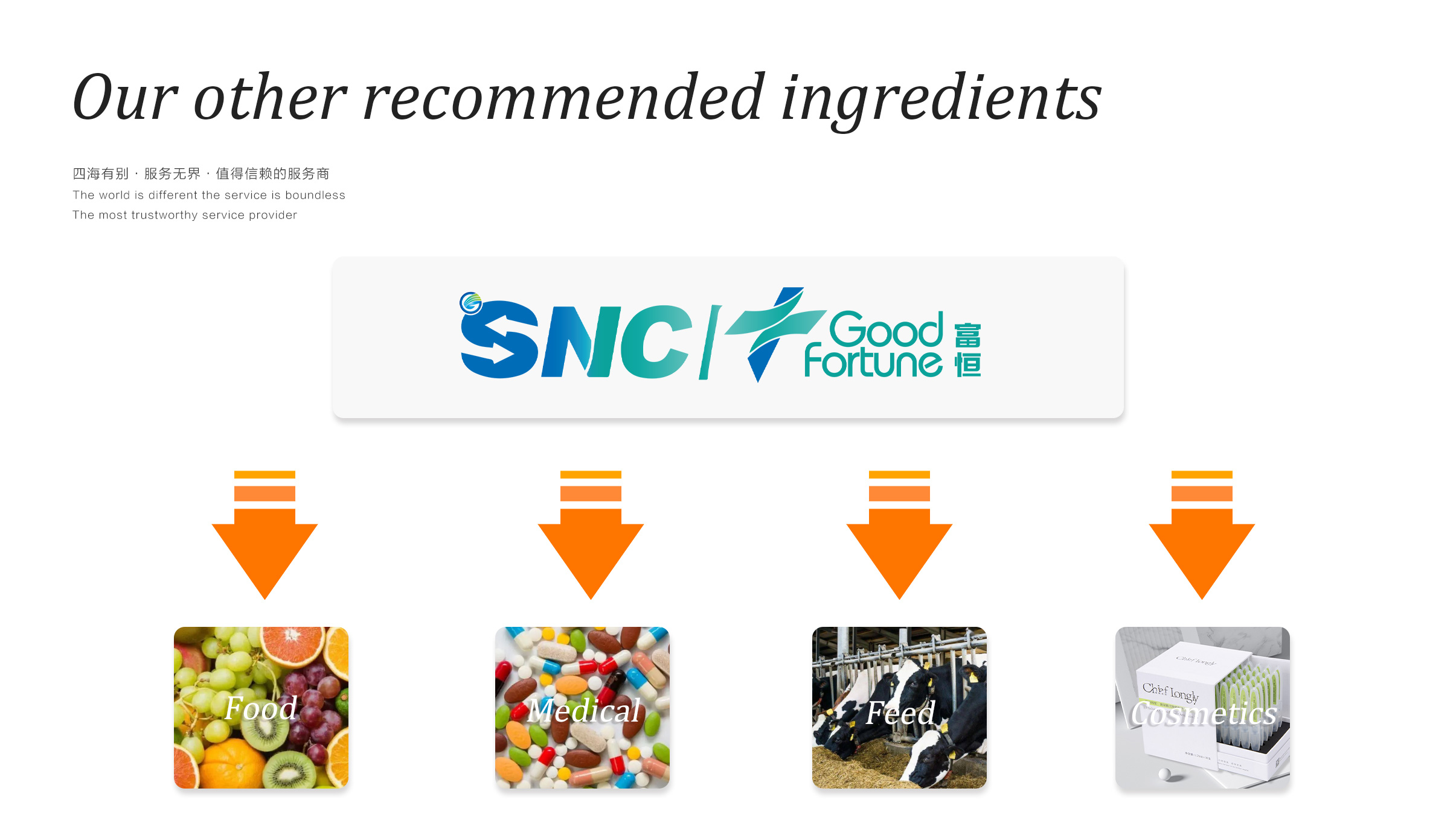 Soy Isoflavones SNC Good Fortune soy-isoflavones-snc-good-fortune